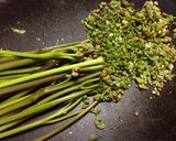 春☆野草の酵素ジュース　２０１４年作り方18写真