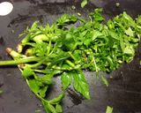 春☆野草の酵素ジュース　２０１４年作り方19写真