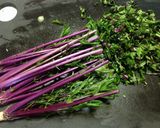 春☆野草の酵素ジュース　２０１４年作り方22写真