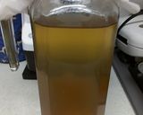 黒砂糖きのこ水　ウォーターケフィアで美腸作り方3写真