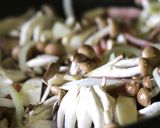 キノコのガーリック風味バルサミコソース。作り方6写真