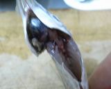 小鯵の南蛮漬け作り方4写真