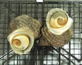 さざえのつぼ焼き　超簡単だよ作り方2写真