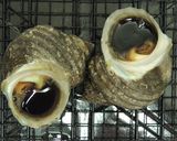 さざえのつぼ焼き　超簡単だよ作り方3写真
