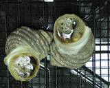 さざえのつぼ焼き　超簡単だよ作り方4写真