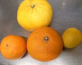 オレンジのコンポート作り方1写真