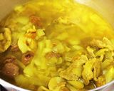 【イラン料理】ほうれん草のシチュー作り方2写真