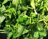 【イラン料理】ほうれん草のシチュー作り方3写真