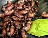 やみつきになる♡ほたるいかの佃煮作り方5写真