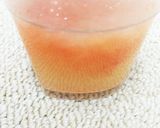 グレープフルーツゼリー作り方10写真