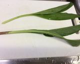 納豆オムレツ作り方1写真