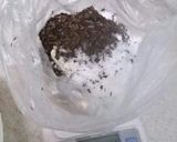 *サクサクほうじちゃクッキー*作り方1写真