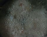 簡単ミンチカツ作り方4写真
