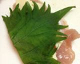 鳥肉チーズ大葉巻作り方3写真