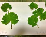 葡萄の葉とベーコンのハーブパスタ作り方2写真