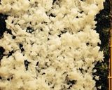 コスト削減！？❁アボカドネギトロ風❁作り方3写真