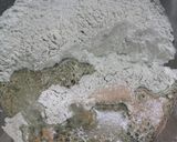 ふんわり草もち風＊和ベーグル。作り方2写真