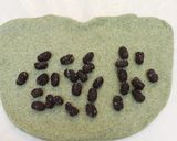ふんわり草もち風＊和ベーグル。作り方5写真