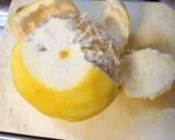 夏みかんピール作り方3写真