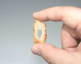 注目！ダイエット☆食品乾燥機で乾燥ちくわ作り方5写真