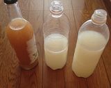 米の研ぎ汁乳酸菌の培養拡大方法★作り方4写真