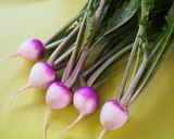 あやめ雪蕪の✿花✿作り方1写真