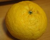 きゅうりと夏みかんのサラダ♪作り方1写真