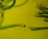 ニンニクの芽たっぷりの♪チヂミ作り方2写真