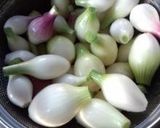 間引き玉ねぎで２種類のおかず作り方5写真