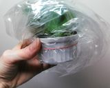 シソの葉保存法作り方5写真