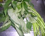 空心菜とベーコンと舞茸の炒め物作り方1写真
