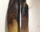 HIで簡単タケノコの下処理作り方2写真