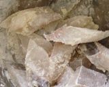 鱈の塩麹あんかけ作り方5写真