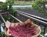 Red Wine Sea Salt作り方4写真