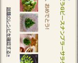 スナップえんどうGピースナンプラーサラダ作り方9写真