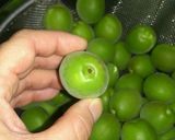 超簡単!!梅酒作り♪作り方2写真