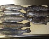 にじますと山女魚とベーコンの燻製作り方3写真