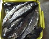 にじますと山女魚とベーコンの燻製作り方2写真
