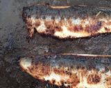 ソースが隠し味♪いわしの蒲焼丼★海苔ネギ作り方12写真