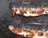 ソースが隠し味♪いわしの蒲焼丼★海苔ネギ作り方12写真