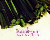 ワラビのツウな食べ方！ワラビタタキ。作り方1写真