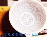 ワラビのツウな食べ方！ワラビタタキ。作り方3写真