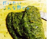 ワラビのツウな食べ方！ワラビタタキ。作り方11写真