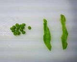 夏のキャラ弁❈金魚作り方3写真