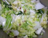 液体塩麹の浅漬け(白菜＆きゅうり)作り方1写真