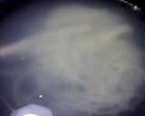 ちょい和風のいかトマト冷麺作り方8写真