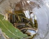保存食♪オイルサーディン作り方10写真