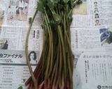 ミズ(山菜)の塩昆布あえ(*´∀`)♪作り方3写真