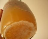 レーズン酵母液作り方8写真