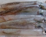 やりいかと春きゃべつの炒めもの作り方1写真